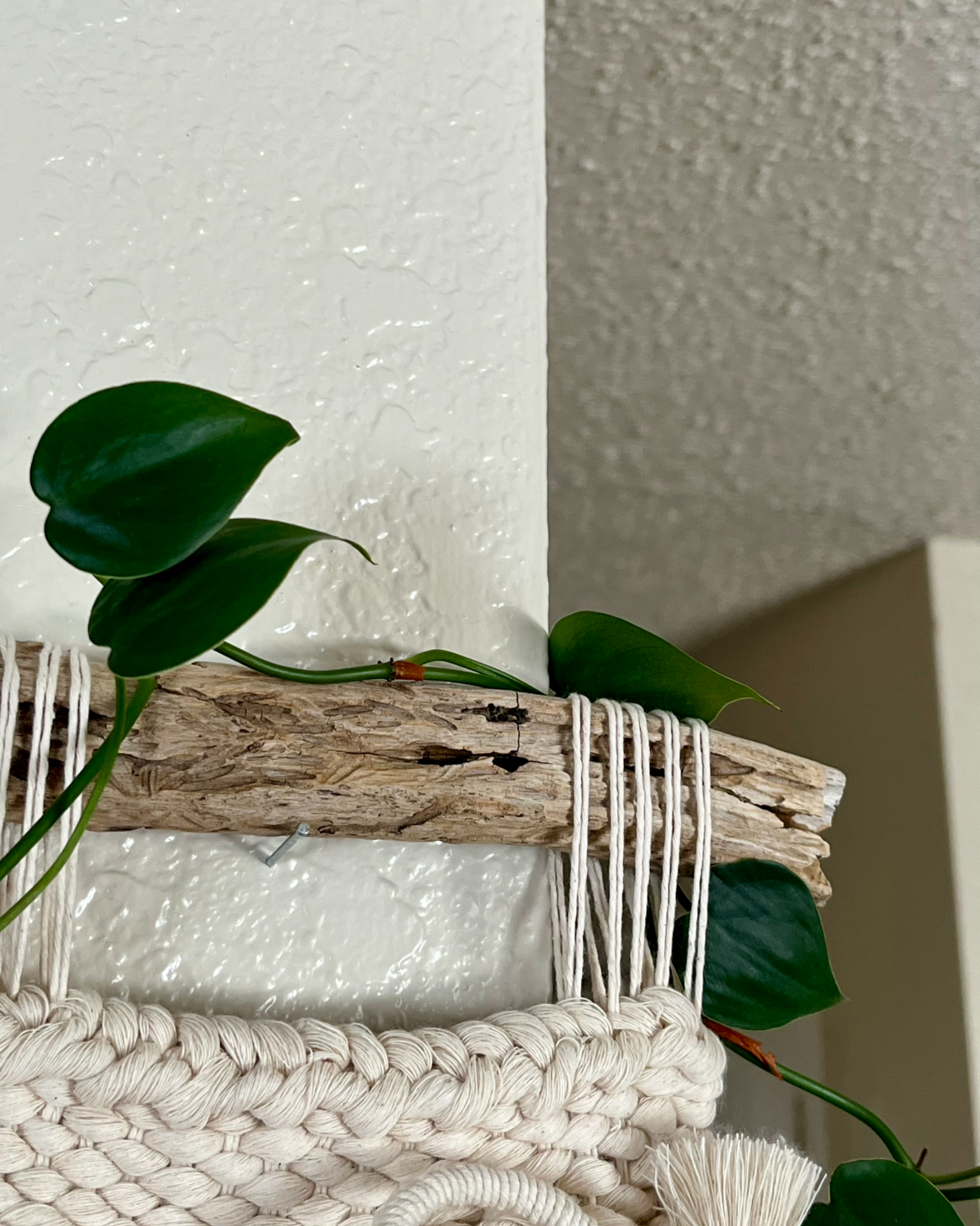 Decorative wall piece with woven material, driftwood, and greenery against a textured wall.